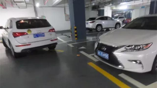 新澳门期期精准准确,专业研究解析说明_Q51.159