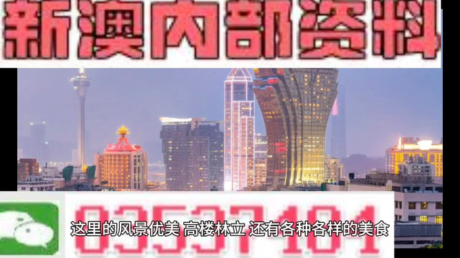 新澳门精准资料大全管家婆料,实地验证策略_轻量版91.84