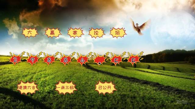 澳门六开奖结果2024开奖今晚,广泛的解释落实方法分析_S86.471